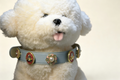 Vintage Gem Pearl Dog Collar, Luxury Royal‑Style Pet Collar