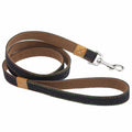 Free Premium Leather Leash (Add to Cart Manually)