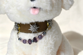 Luxury Stardust Pet Collar - Handmade Leather & Amethyst Crystals