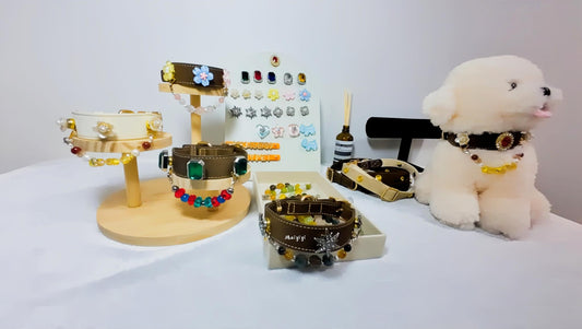 DIY Pet Crystal Gem Collar | Interchangeable Crystals & Accessories. Package Contains 1 Collar + 1 Set of Accessories & Crystals